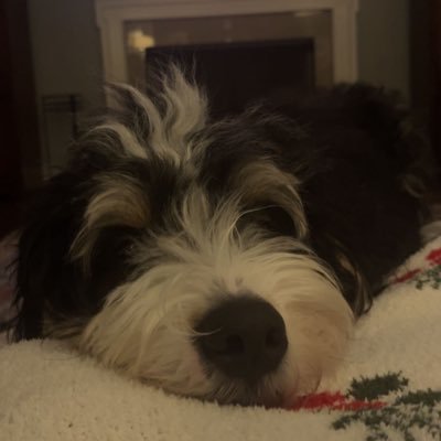 tammyjosaint's profile picture. 