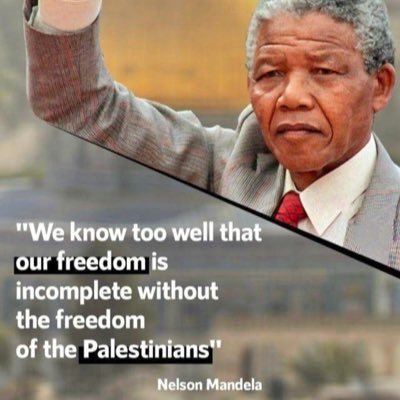 saphir_xi's profile picture. 