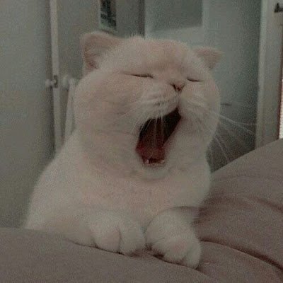 LaPeluchin14058's profile picture. I don't know