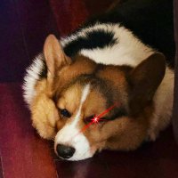 🐰TutuCrypto🐰 (@tutucrypto) 's Twitter Profile Photo 🐰TutuCrypto🐰 (@tutucrypto) 's Twitter Profile Photo