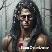 Nexo Optimization (@optimizationtn) 's Twitter Profile