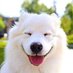 𝔦∂ΙЄGO (@drc_19) Twitter profile photo 𝔦∂ΙЄGO (@drc_19) Twitter profile photo