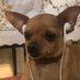 Megann Sowter (@megansowter) Twitter profile photo Megann Sowter (@megansowter) Twitter profile photo