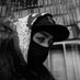 Akira Kintsugi (@kod816) Twitter profile photo Akira Kintsugi (@kod816) Twitter profile photo