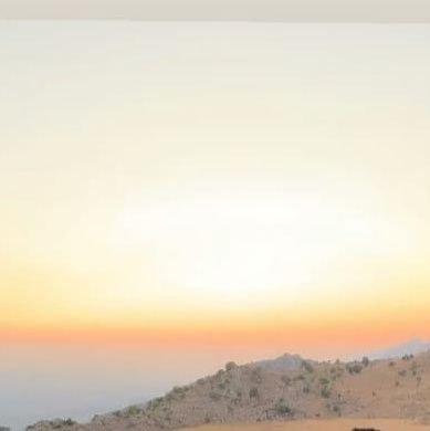 leno9696's profile picture. 