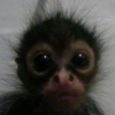 vivas17686's profile picture. alguien random