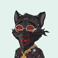 traplxrde (@traplxrde) 's Twitter Profile