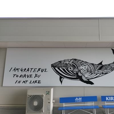 山口県の土日アングラー
美味しい魚を狙います