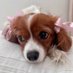 puddin’ (@hungryhornypup) Twitter profile photo puddin’ (@hungryhornypup) Twitter profile photo