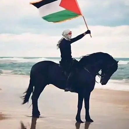 mmabdulkabir's profile picture. Muslim haafidh, Graphic designer, software engineer and a future dai'ii