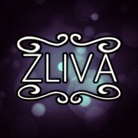 💙💛 Zliva commissions are open💙💛(@zliva_art) 's Twitter Profile Photo