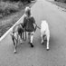 Southern Mama (@mariekemph) Twitter profile photo Southern Mama (@mariekemph) Twitter profile photo