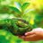 Green_Pakistan_