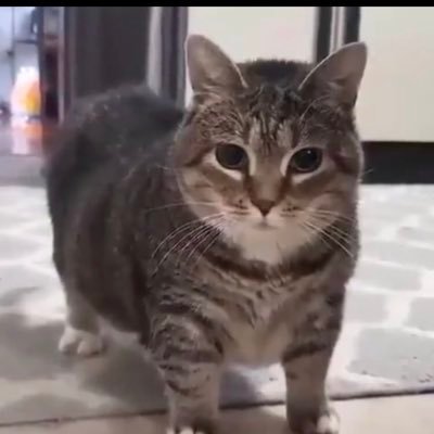 jameswilling80's profile picture. UofSC 2026