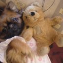 Karina Vasilenko - @karinalovte - Twitter