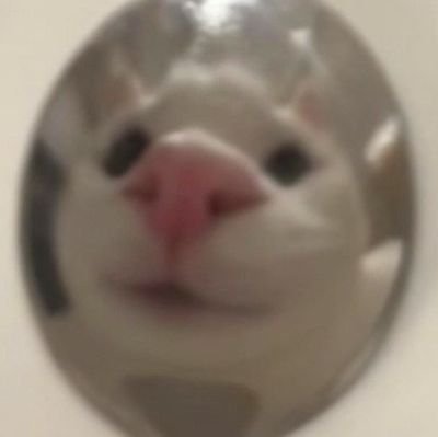 .さんのプロフィール画像
