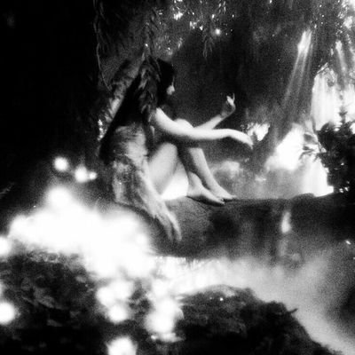 cendrigem's profile picture. 20 he/him