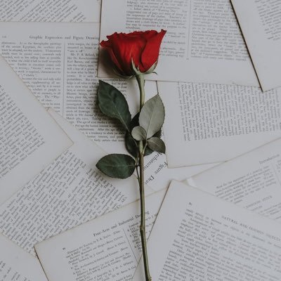 SabboHappy's profile picture. 