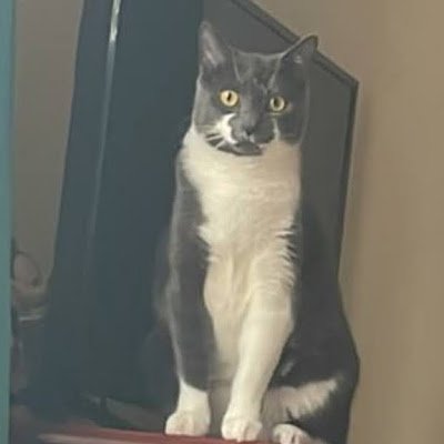 javacafe79's profile picture.