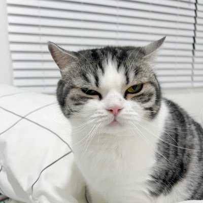 aom_kornkot's profile picture. 