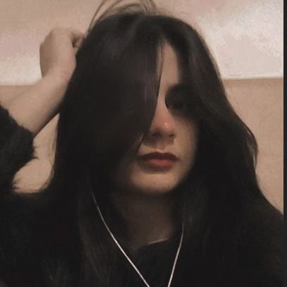 FiestaVibes's profile picture. 