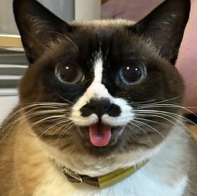 Digital08079119's profile picture. 