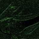 hector landeros - @wats_it2u - Twitter