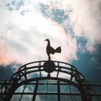 Matt Waters (@watersmatt93890) 's Twitter Profile