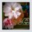 siro_sarae's profile image