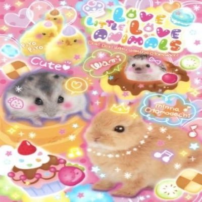 kehperu's profile picture. better