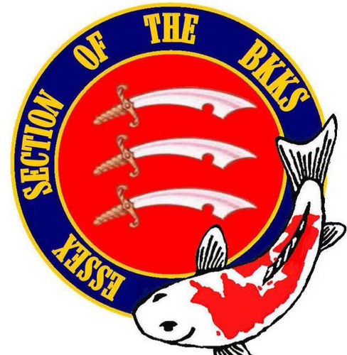 EssexKoiClub's profile picture. Enjoying 35 Years of Koi with it's members