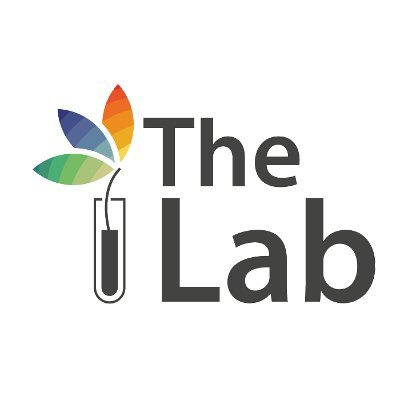 The Global Innovation Lab for Climate Finance