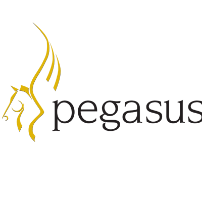 PegasusSoftware Profile Picture