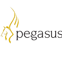 Pegasus(@PegasusSoftware) 's Twitter Profile Photo