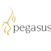 Pegasus (@pegasussoftware) Twitter profile photo Pegasus (@pegasussoftware) Twitter profile photo