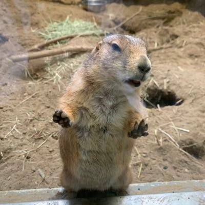 たまにポツポツ呟きます。 空が好き✈️北海道が好き。🫶NAKAMA/子猫/子犬 かなりの人見知りです💧