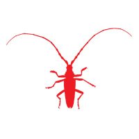 Evolutionary Systematics (@evolsystematics) 's Twitter Profile Photo Evolutionary Systematics (@evolsystematics) 's Twitter Profile Photo