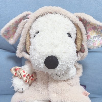 andy_0519x's profile picture. スヌーピーが大好き！とくにANDYが大好きです🥰ぬいぐるみは癒し(* ´  ` *)ᐝアイドルとうどんも大好き(*´˘`*)♡無言フォロー失礼します🙇‍♀️