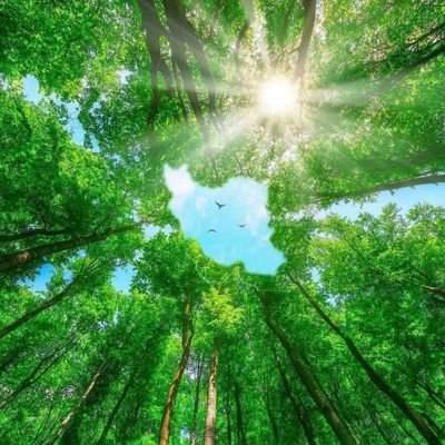 معلم
عاشق وطن ،عاشق نوجوونای وطنم ،مامان
عاشق بچه هاش،
ترجیح میدم بیشتر خواننده نوشته هاتون باشم
