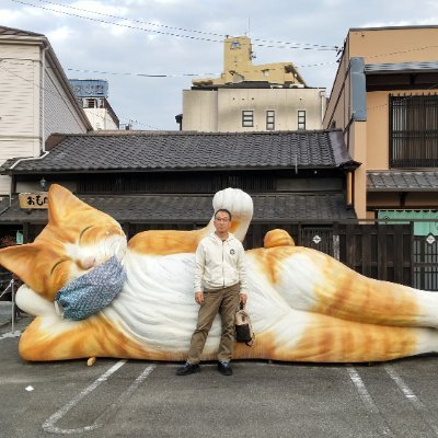 xzEllfmY4M59009's profile picture. 