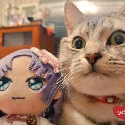 ❀❀🌷❁❁さんのプロフィール画像