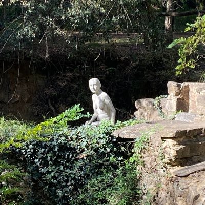 m_casell's profile picture. 