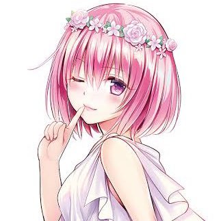 健康になるしんくん🎀🐱さんのプロフィール画像