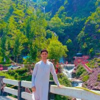 FAISAL HAYAT (@faisalh21711069) 's Twitter Profile