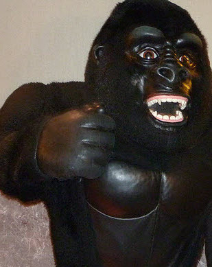 Don_DeEsta's profile picture. Still awaiting my Oscars Win. Previous false employment statements include financial advisor, glamour model, travel writer and engineer...