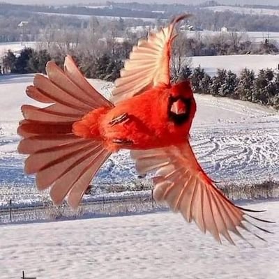 WalterSachs2's profile picture. Life is for Living and Learning!