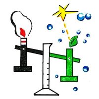 Simposio Doctorado Química Sostenible (@phdsustchemsym) 's Twitter Profile