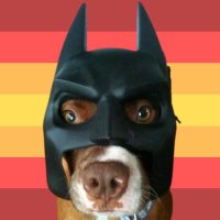 erpayo BigBalls (@erpayo) 's Twitter Profile Photo erpayo BigBalls (@erpayo) 's Twitter Profile Photo