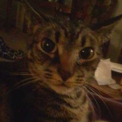 ElijahSmit87265's profile picture. 