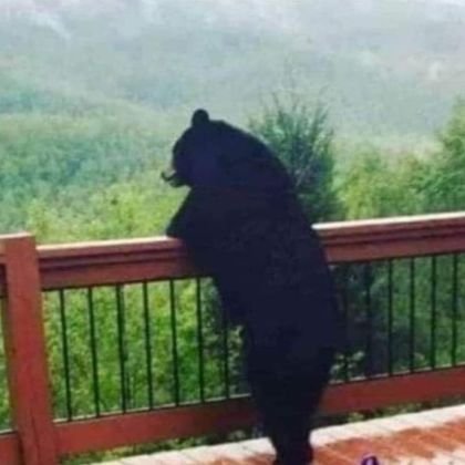 DennisXKV12's profile picture. Tolle fan.
Trend fan.
Not verified, but real.                                  

#Silver is the way.